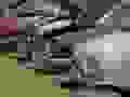 445179905_122137813160239050_6934381486536964128_n