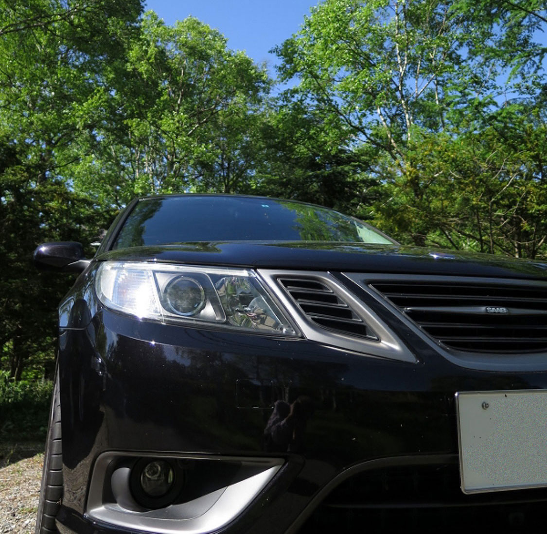 Vintage Saab の集い2016